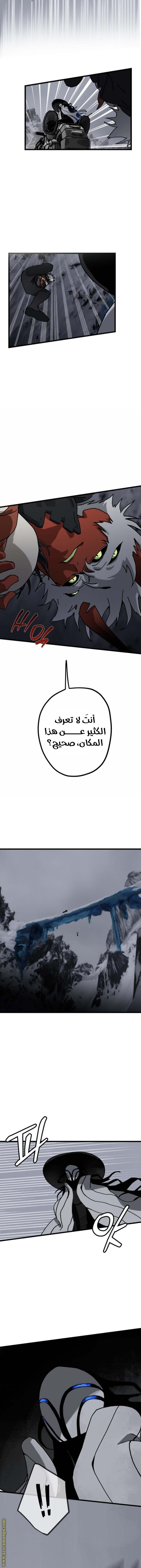 الصفحة 14