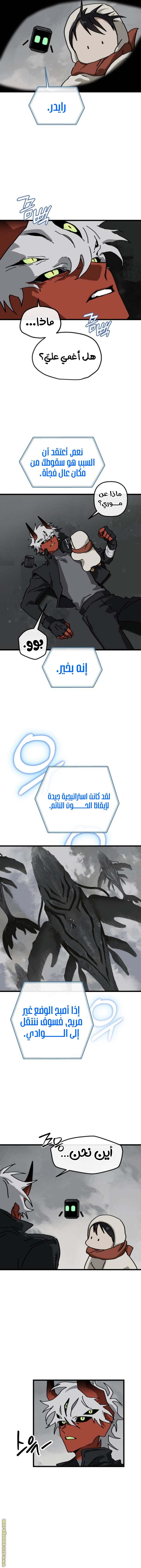 الصفحة 17