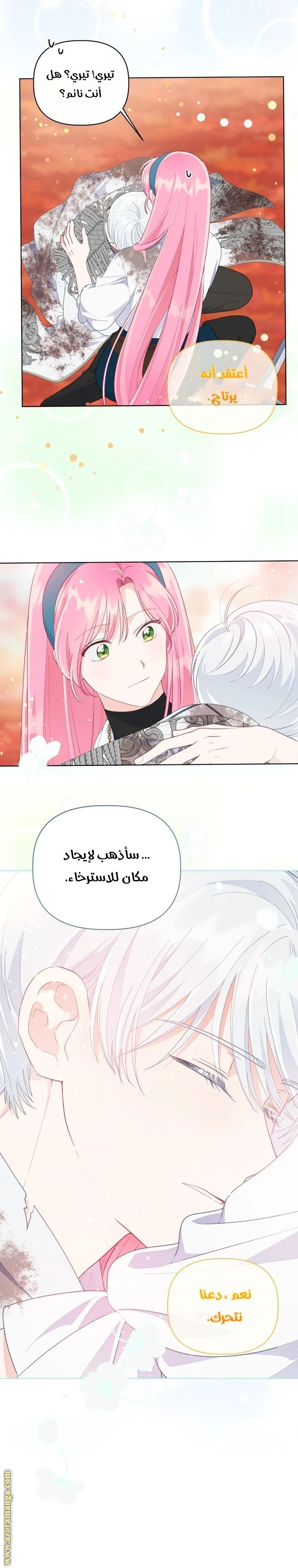 الصفحة 17