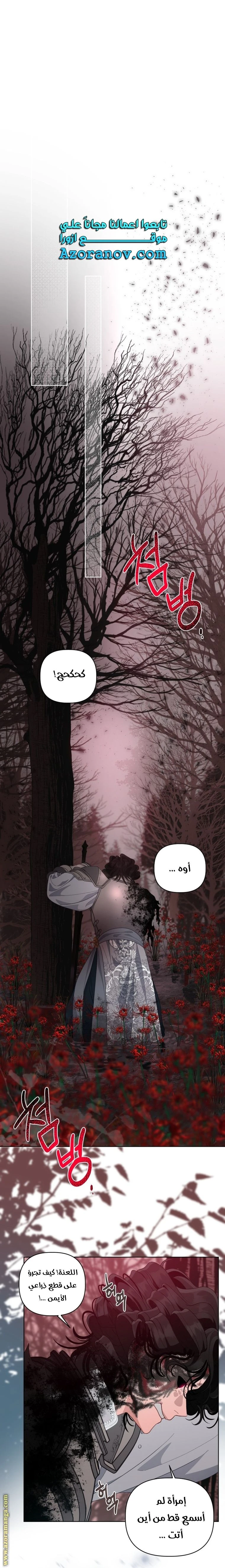 الصفحة 18