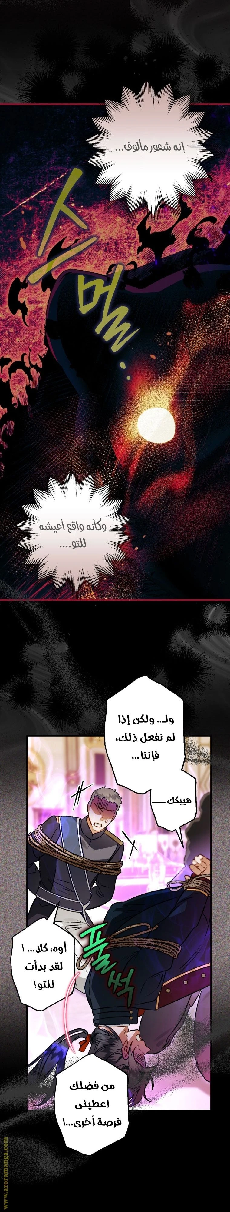 الصفحة 13
