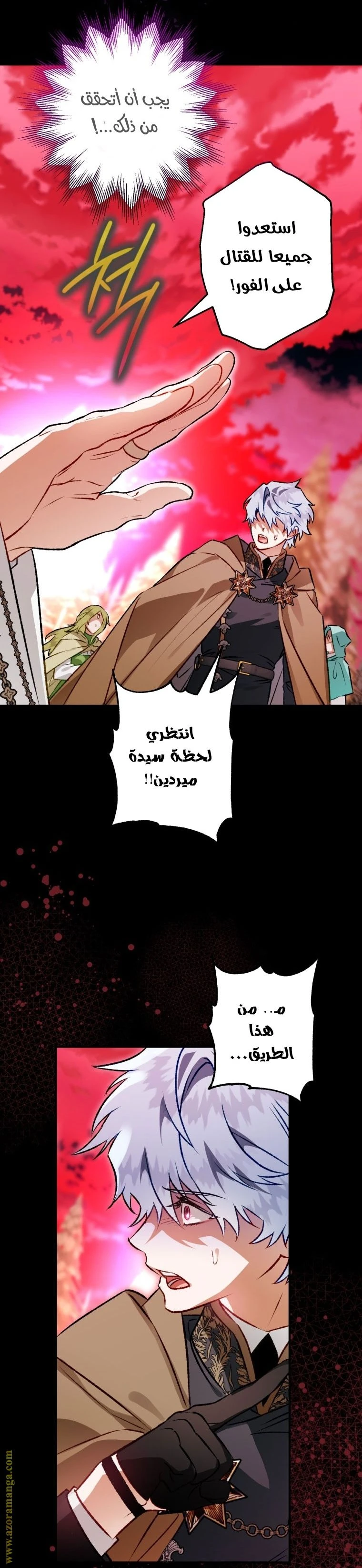 الصفحة 27