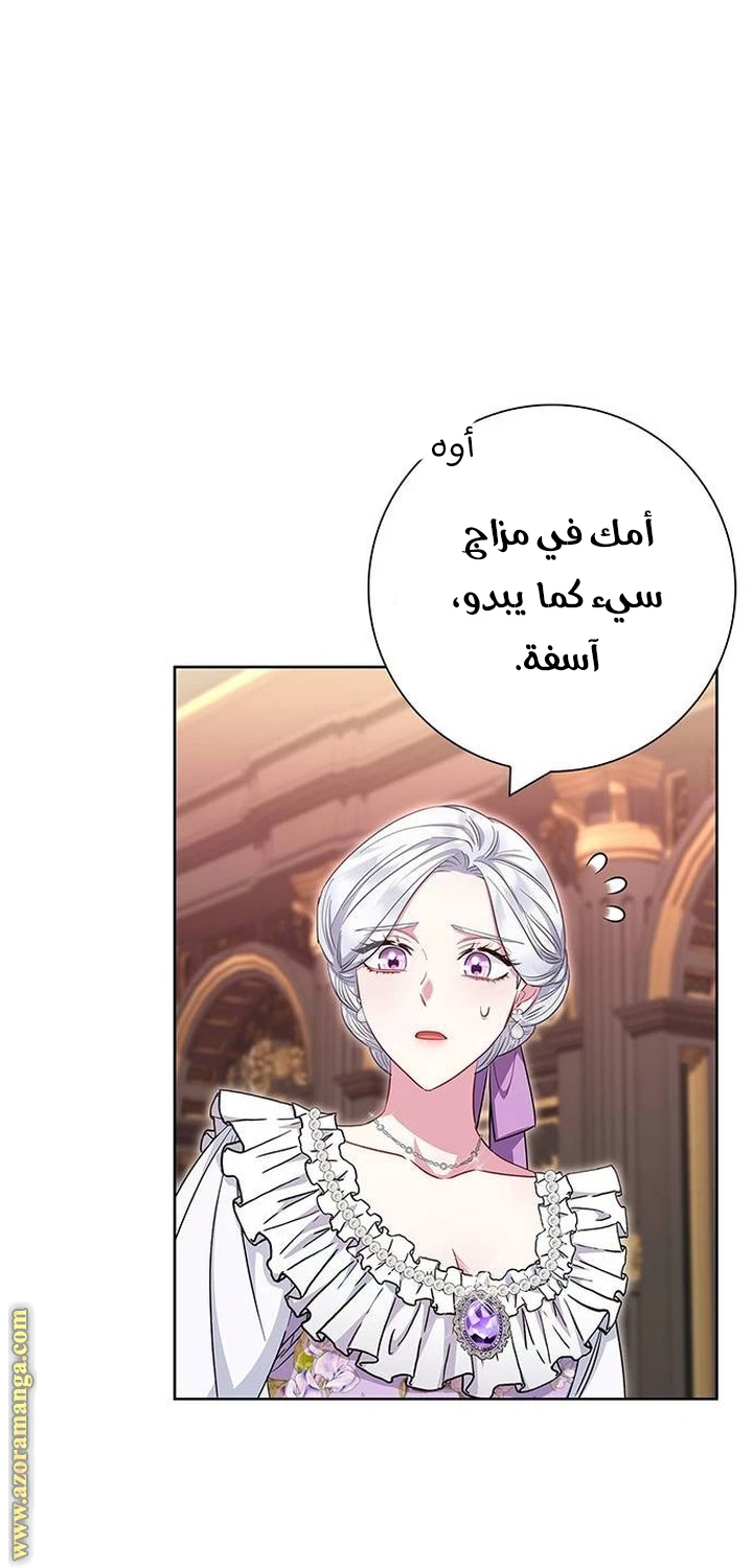 الصفحة 17