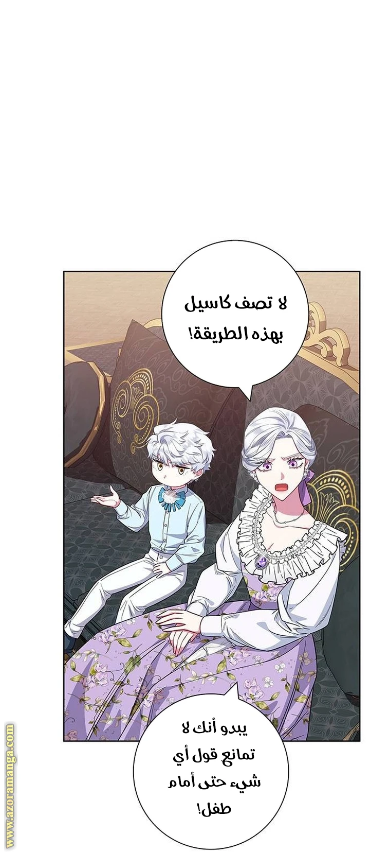 الصفحة 29