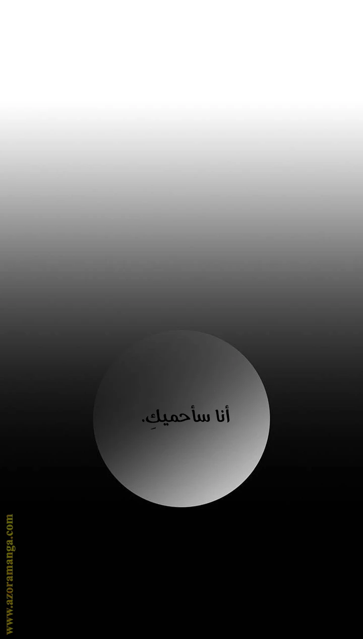 الصفحة 61