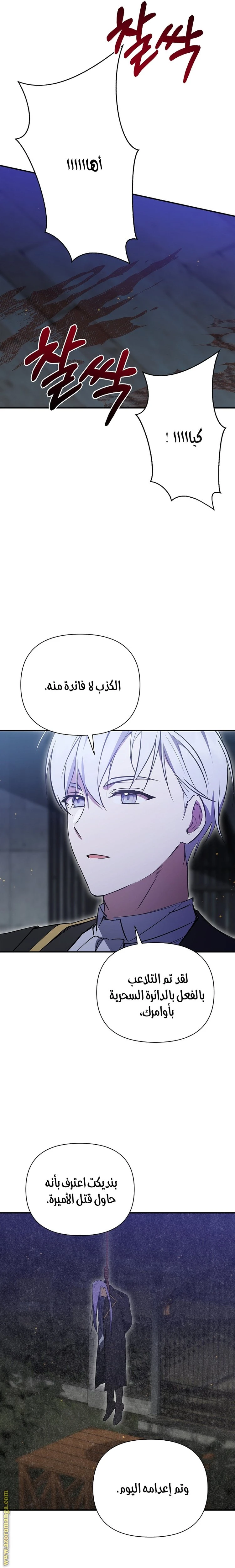 الصفحة 17