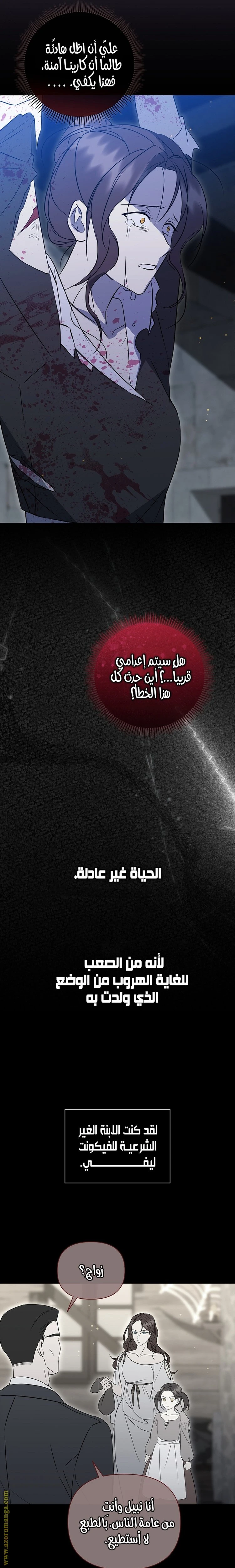 الصفحة 23