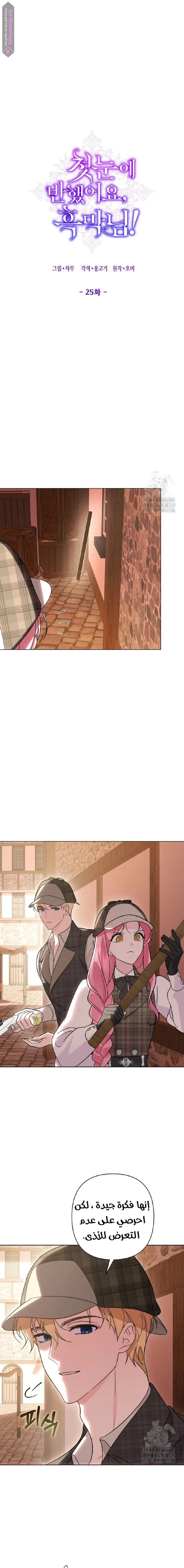 الصفحة 11