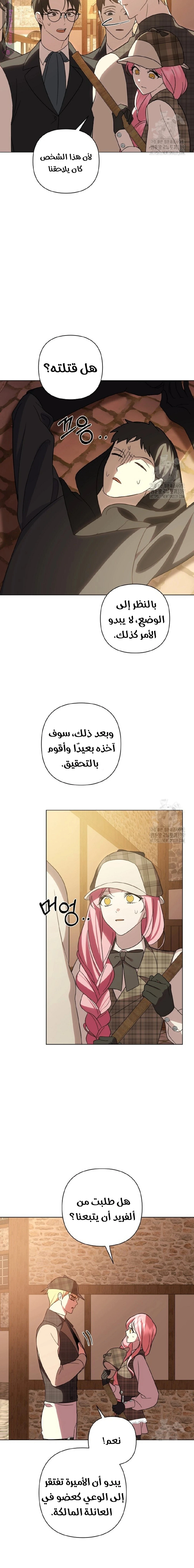الصفحة 14