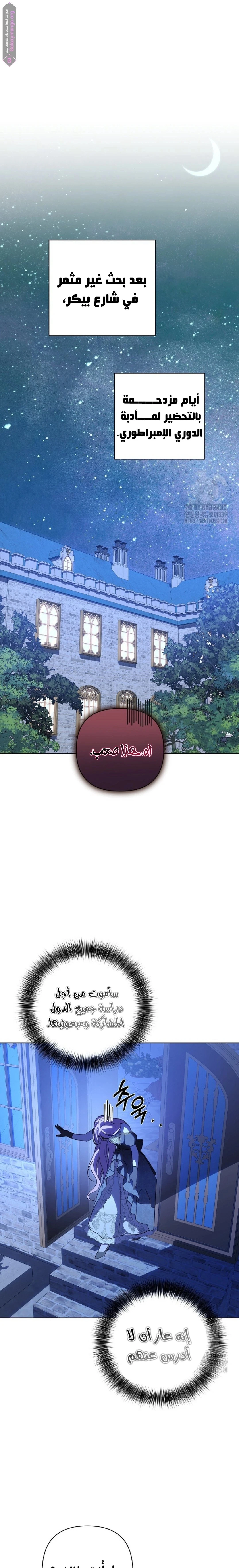 الصفحة 17