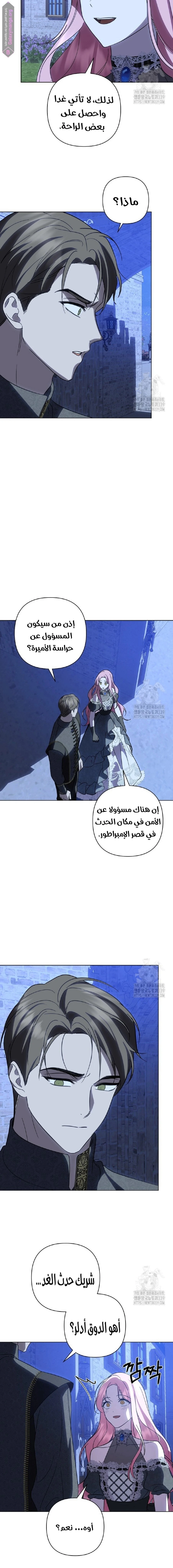 الصفحة 20