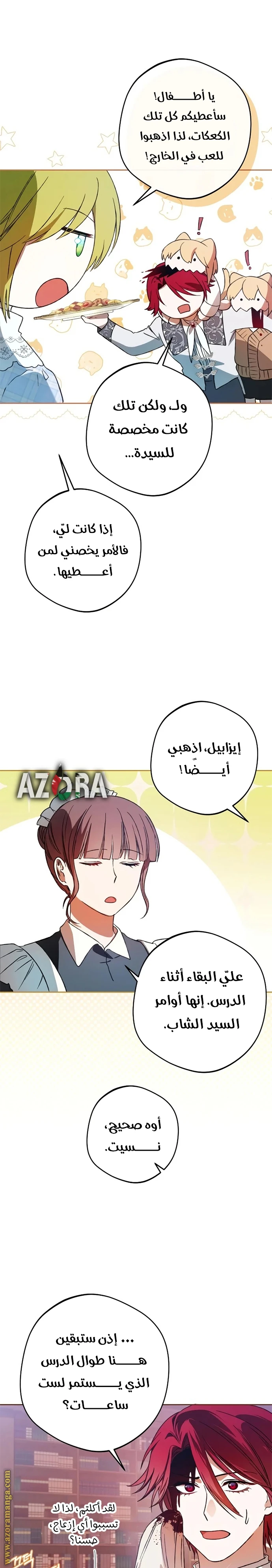 الصفحة 17