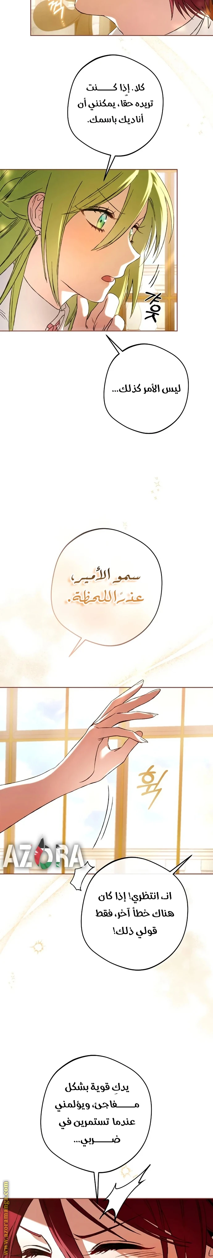 الصفحة 26