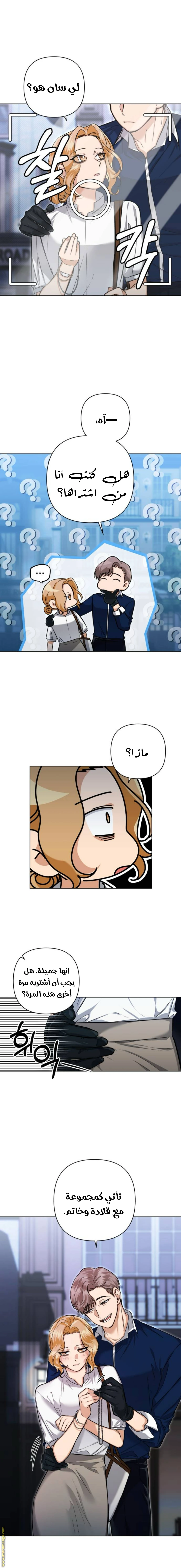 الصفحة 11