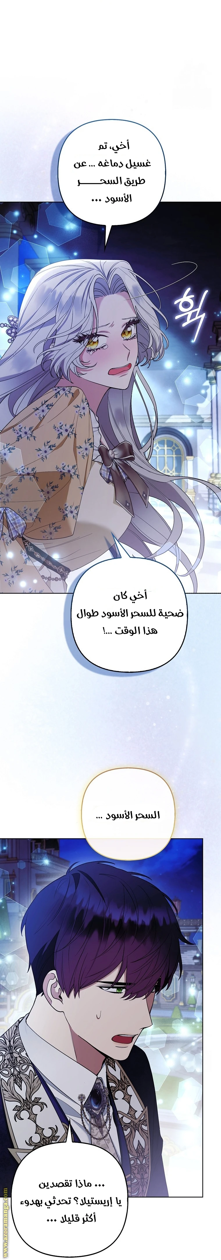 الصفحة 13