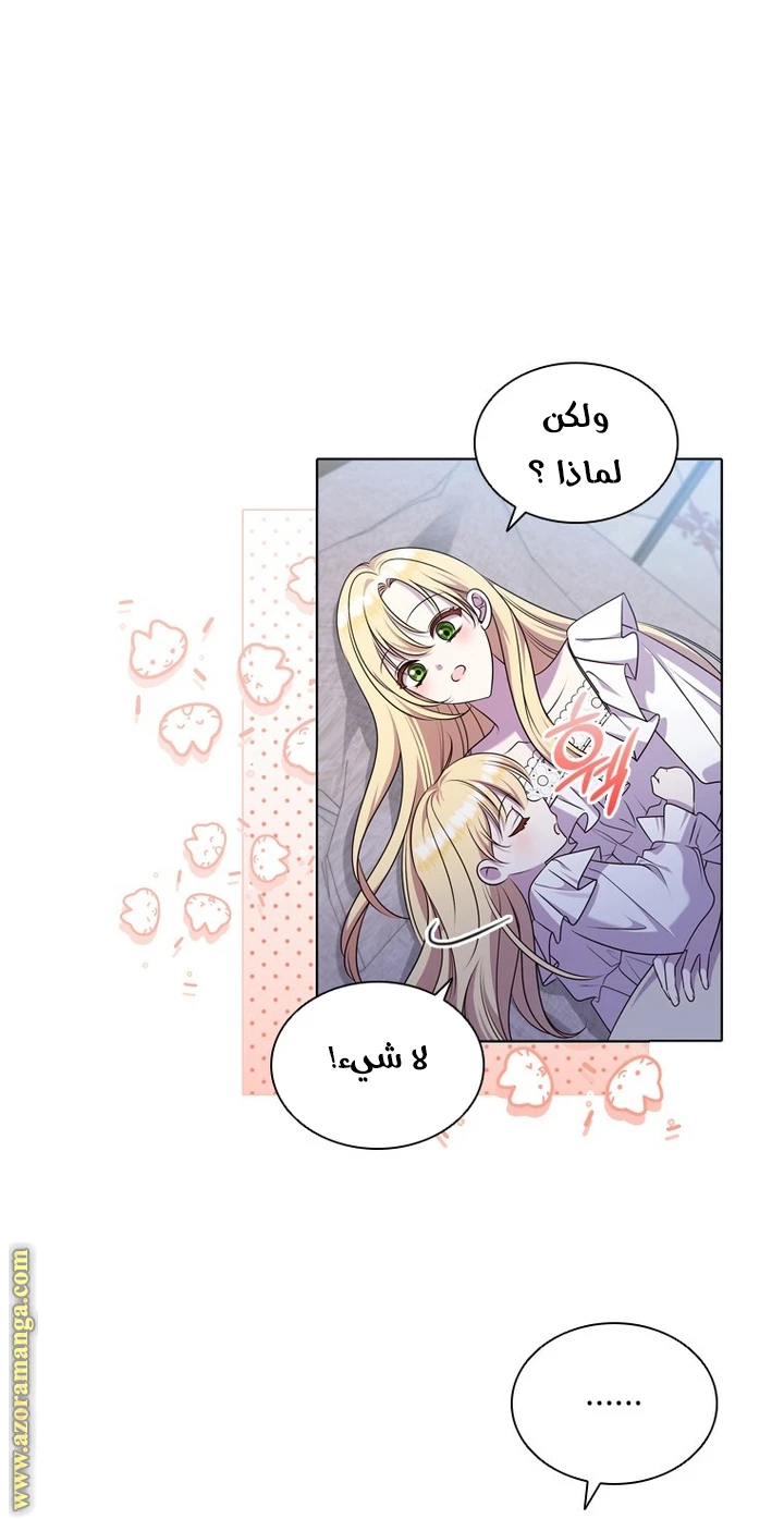 الصفحة 29