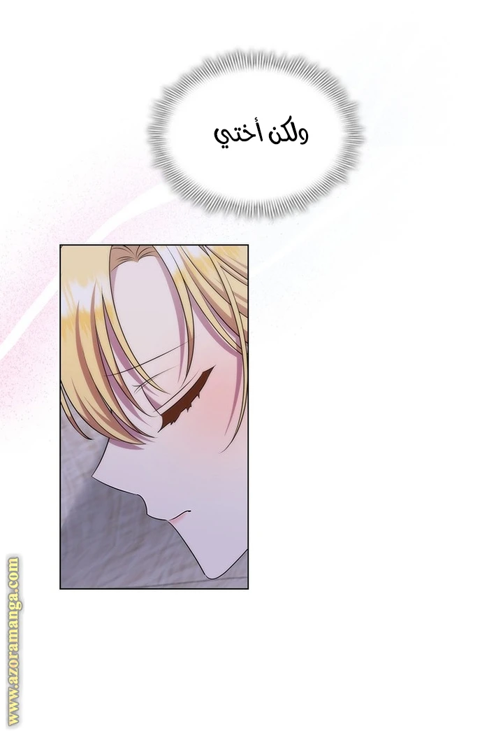 الصفحة 43