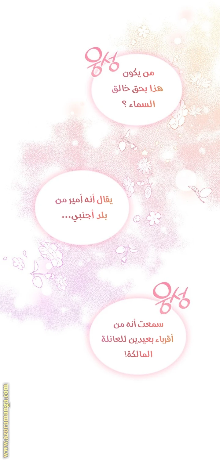 الصفحة 52