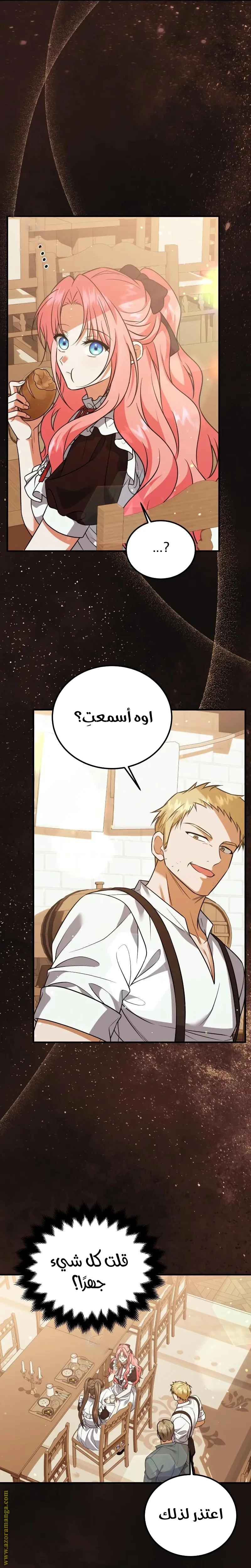 الصفحة 17