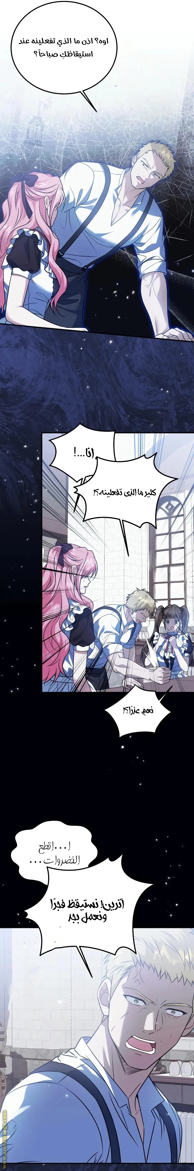 الصفحة 19