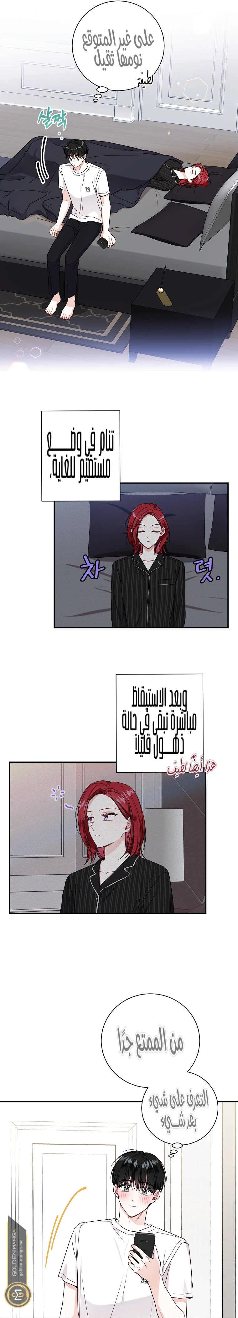 الصفحة 21