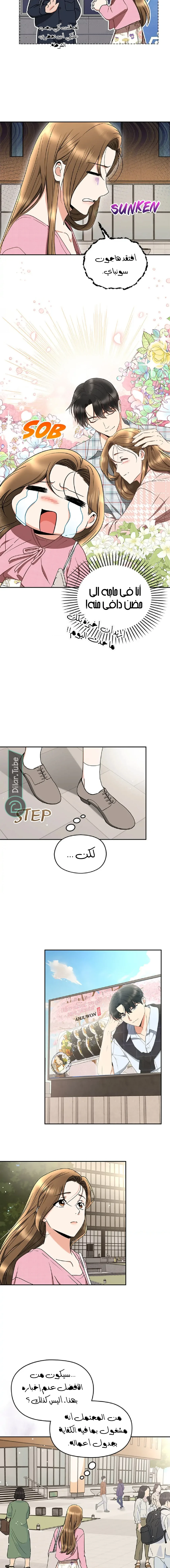 الصفحة 8