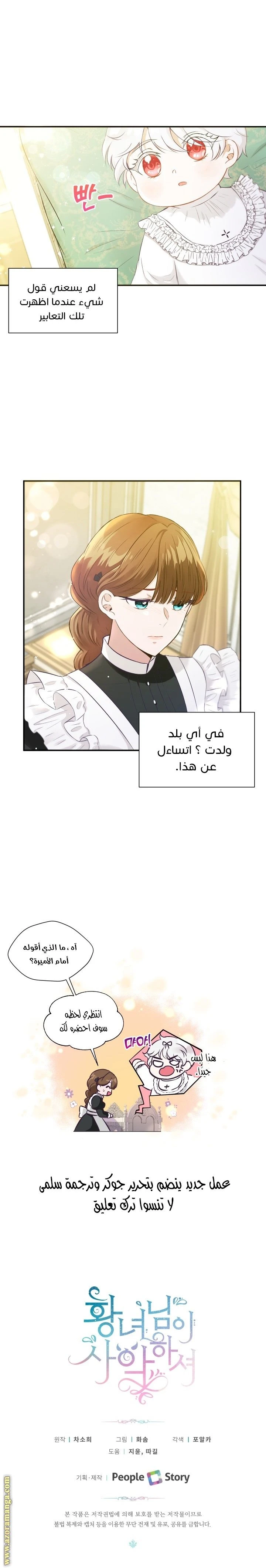 الصفحة 16