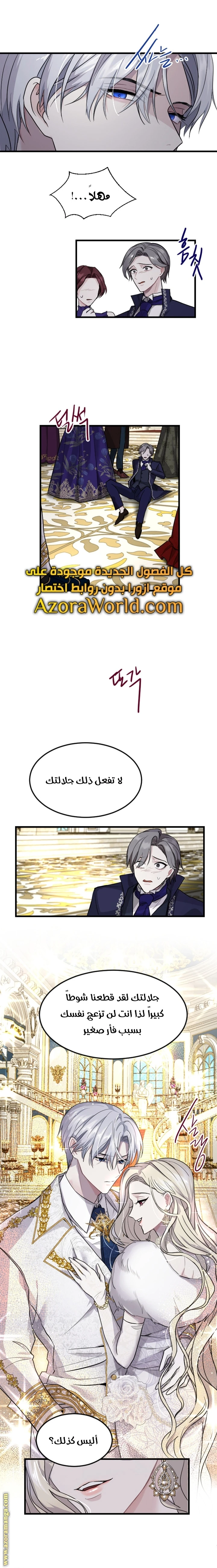 الصفحة 3