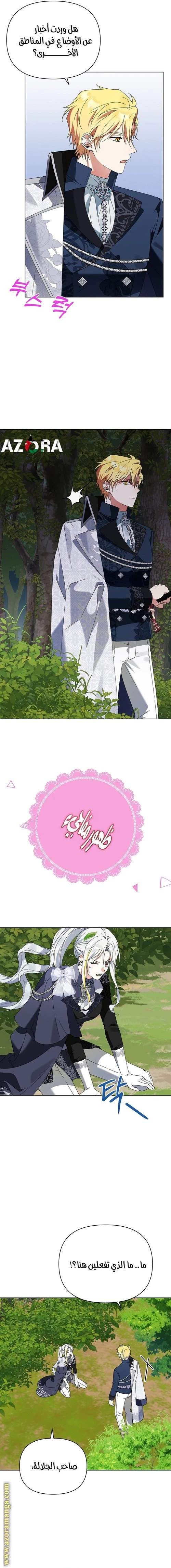 الصفحة 11