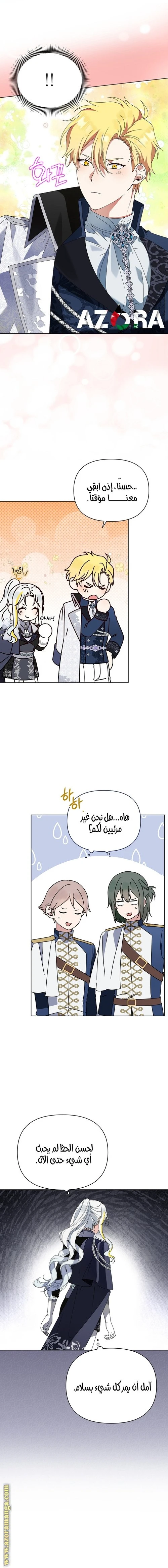 الصفحة 13
