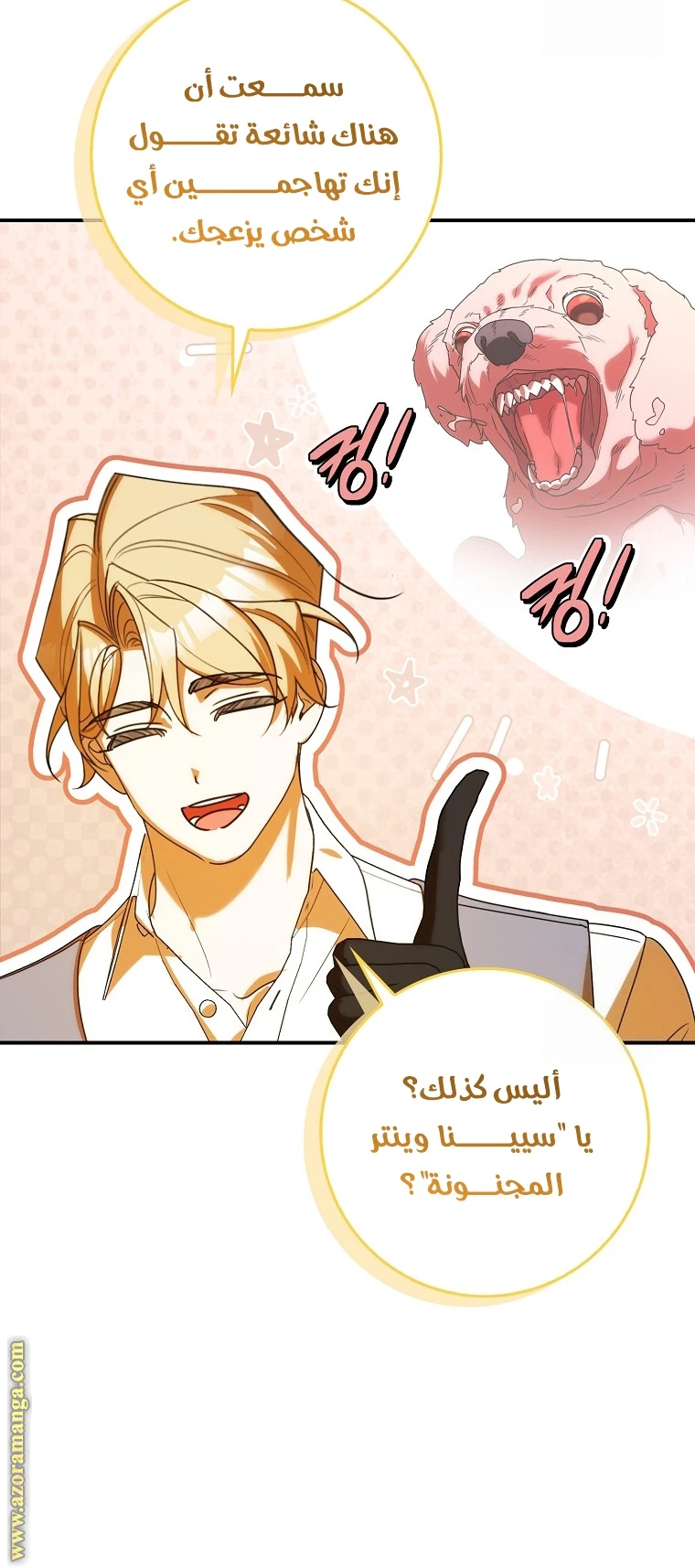 الصفحة 17