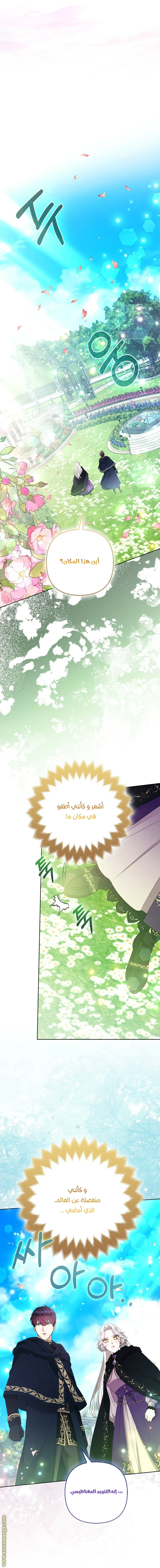 الصفحة 12