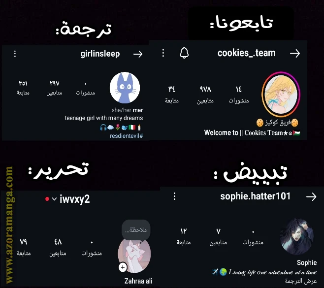 الصفحة 11