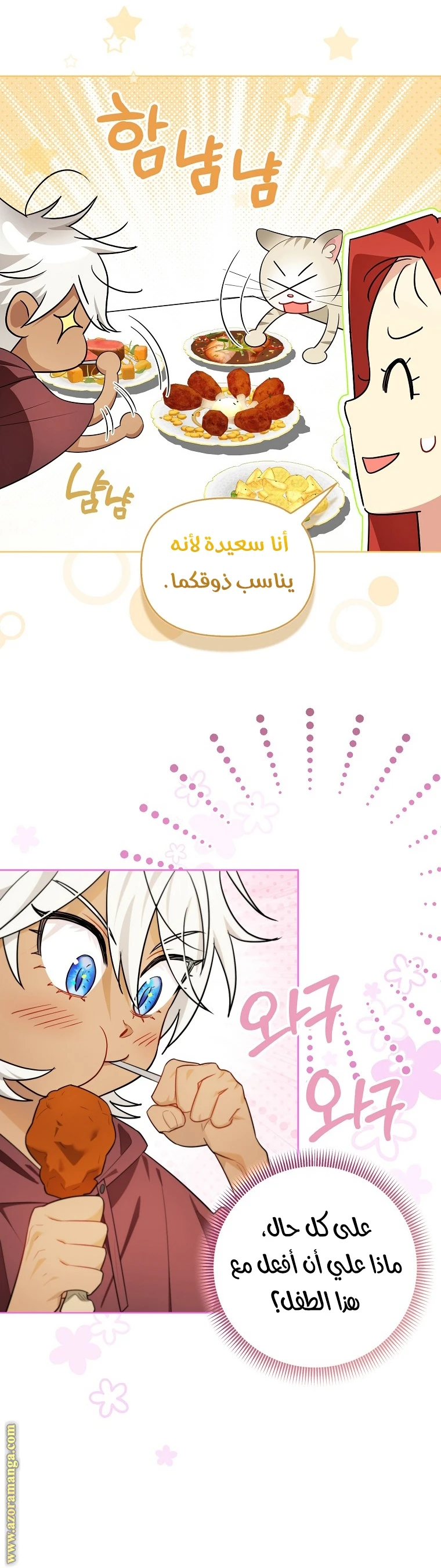 الصفحة 13