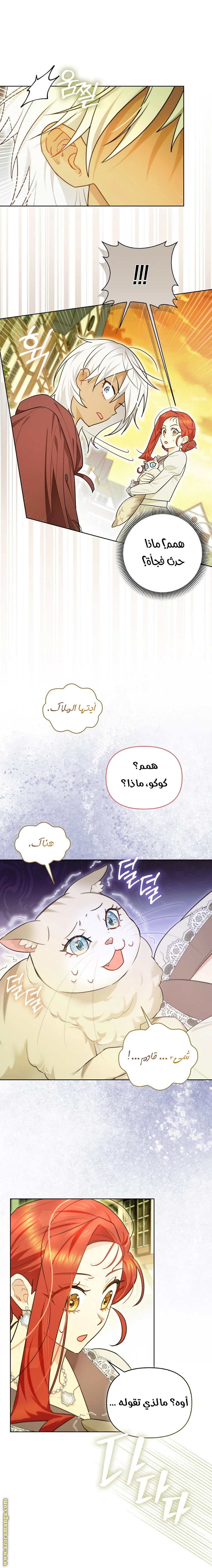 الصفحة 19