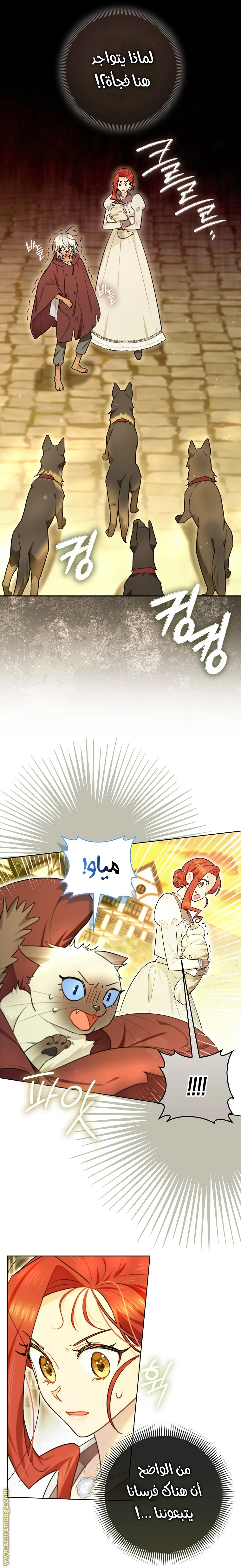 الصفحة 21