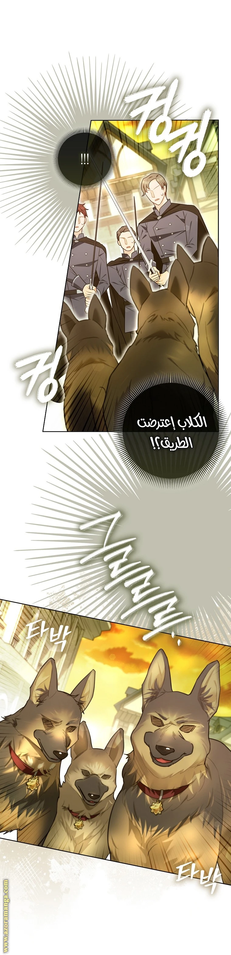 الصفحة 22