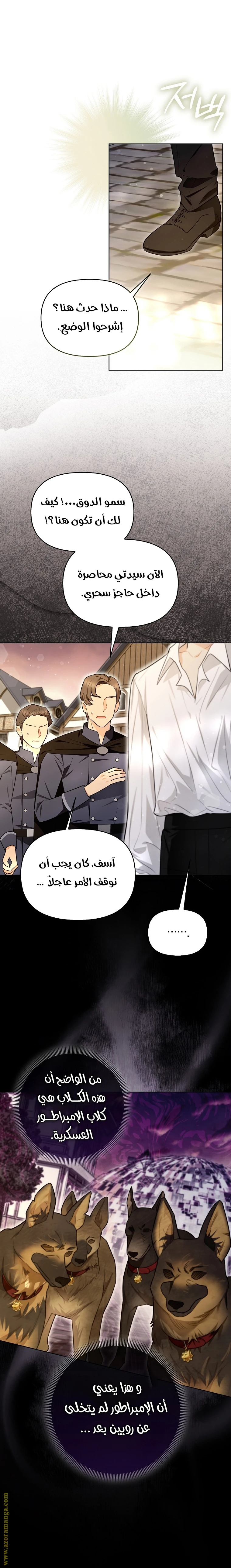 الصفحة 26