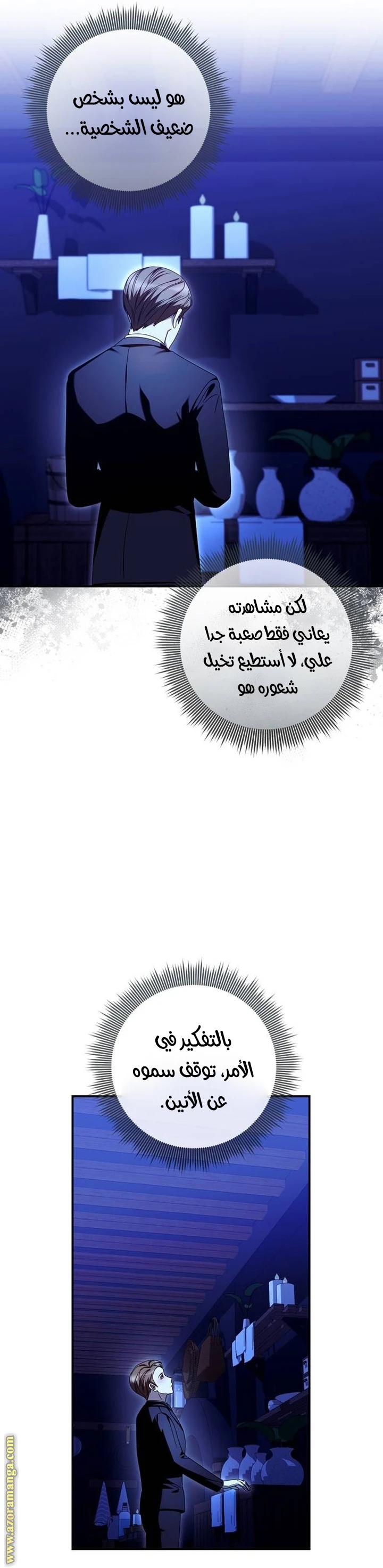 الصفحة 29