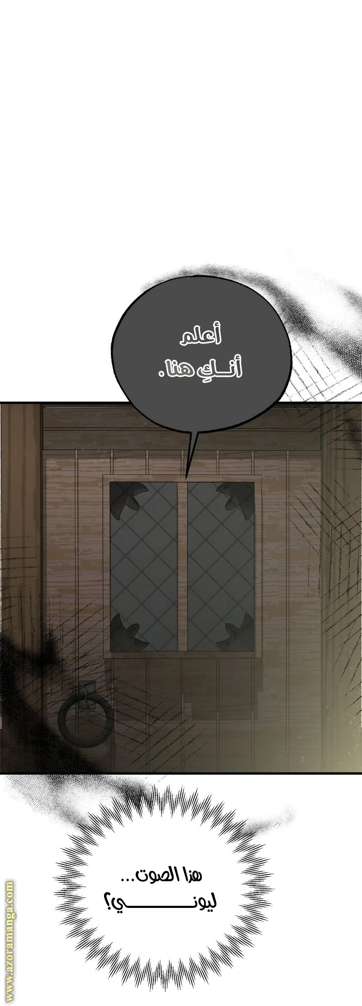 الصفحة 29
