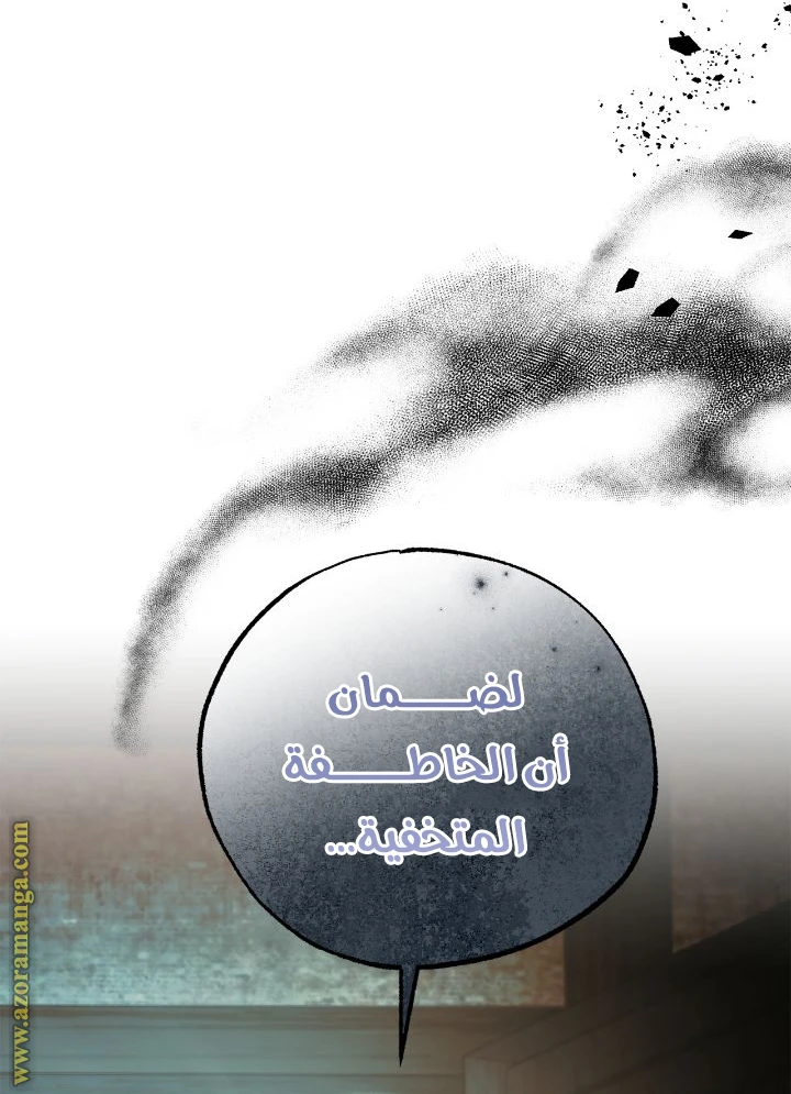 الصفحة 61