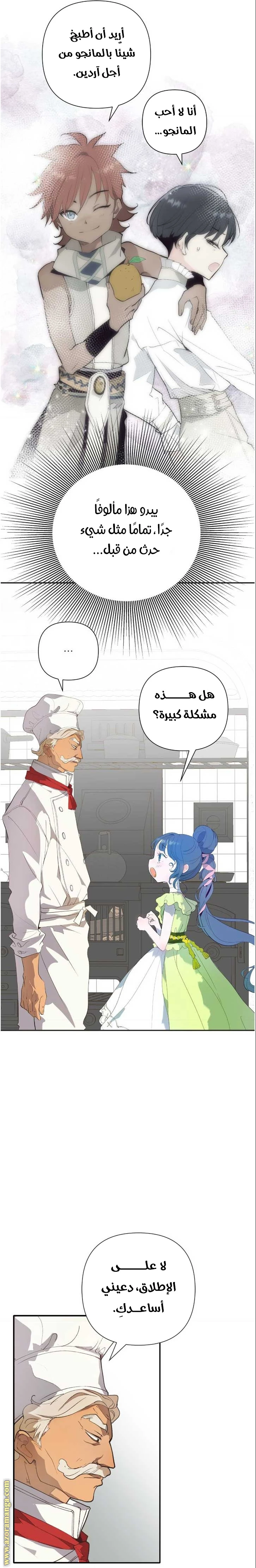 الصفحة 12