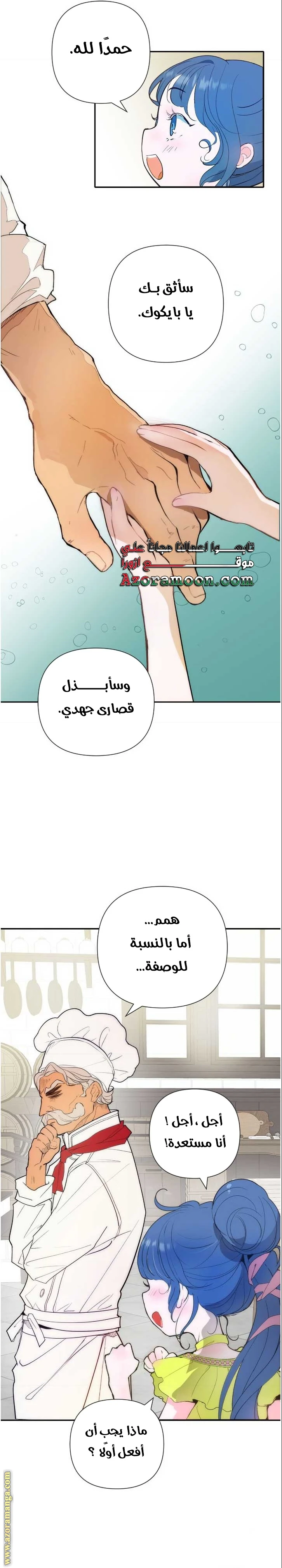الصفحة 13