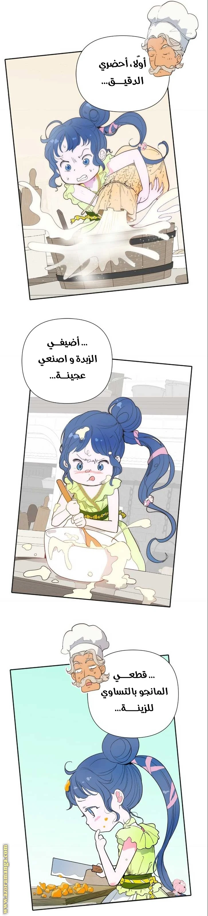 الصفحة 14