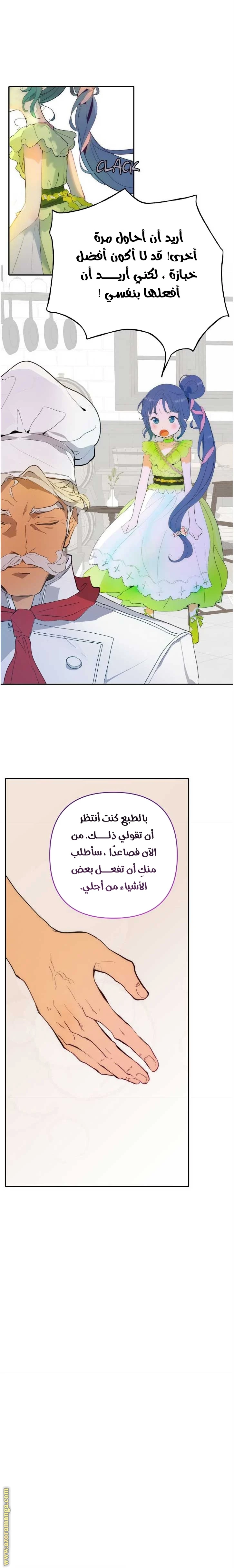 الصفحة 17