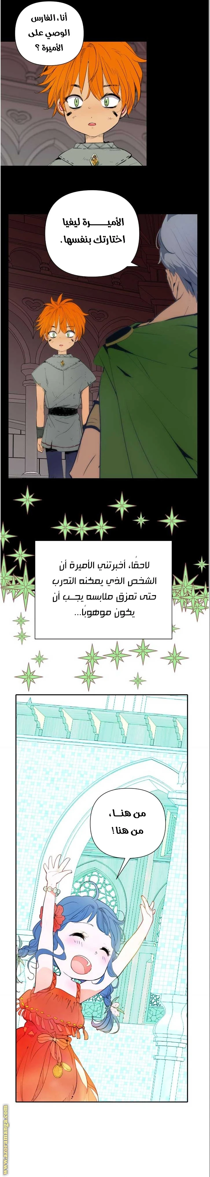 الصفحة 21
