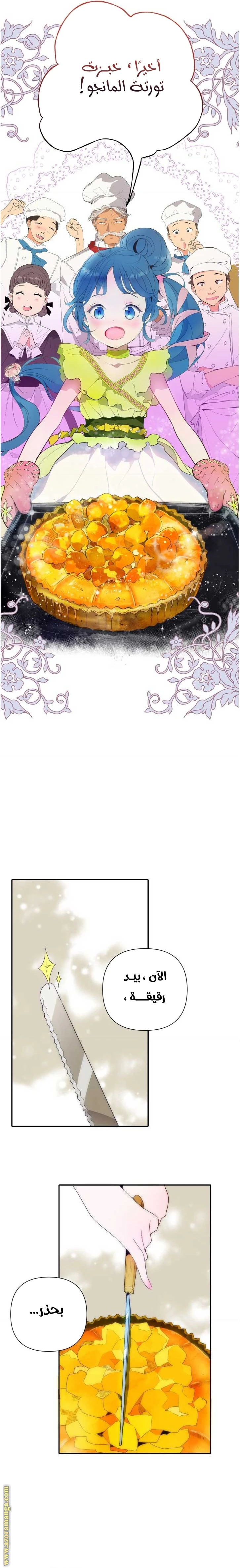 الصفحة 24