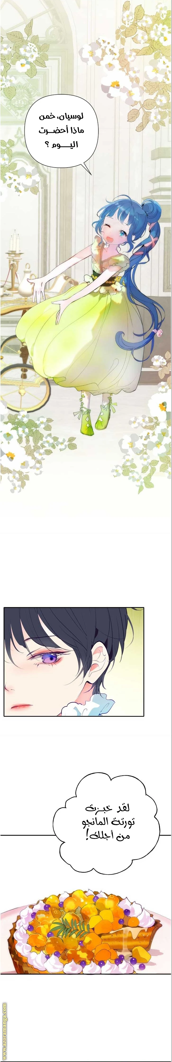 الصفحة 29