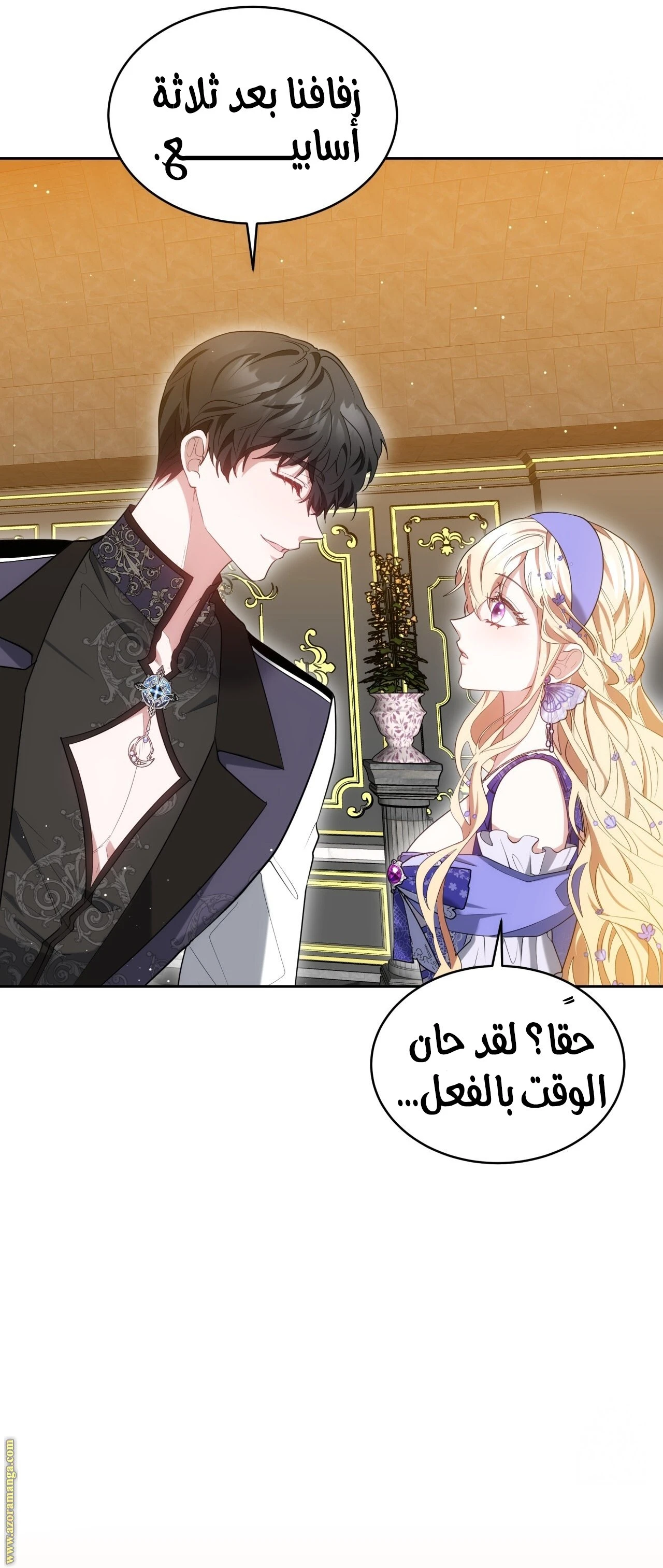 الصفحة 43