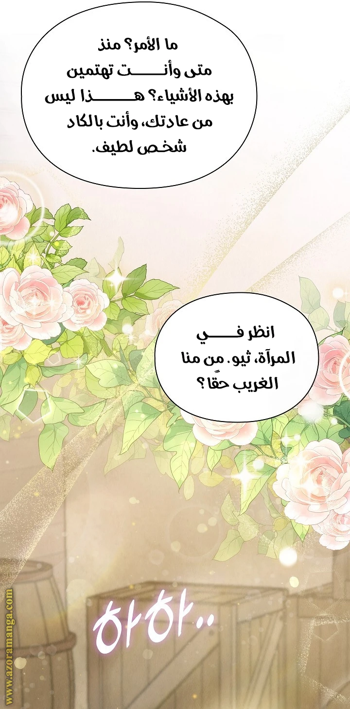 الصفحة 27